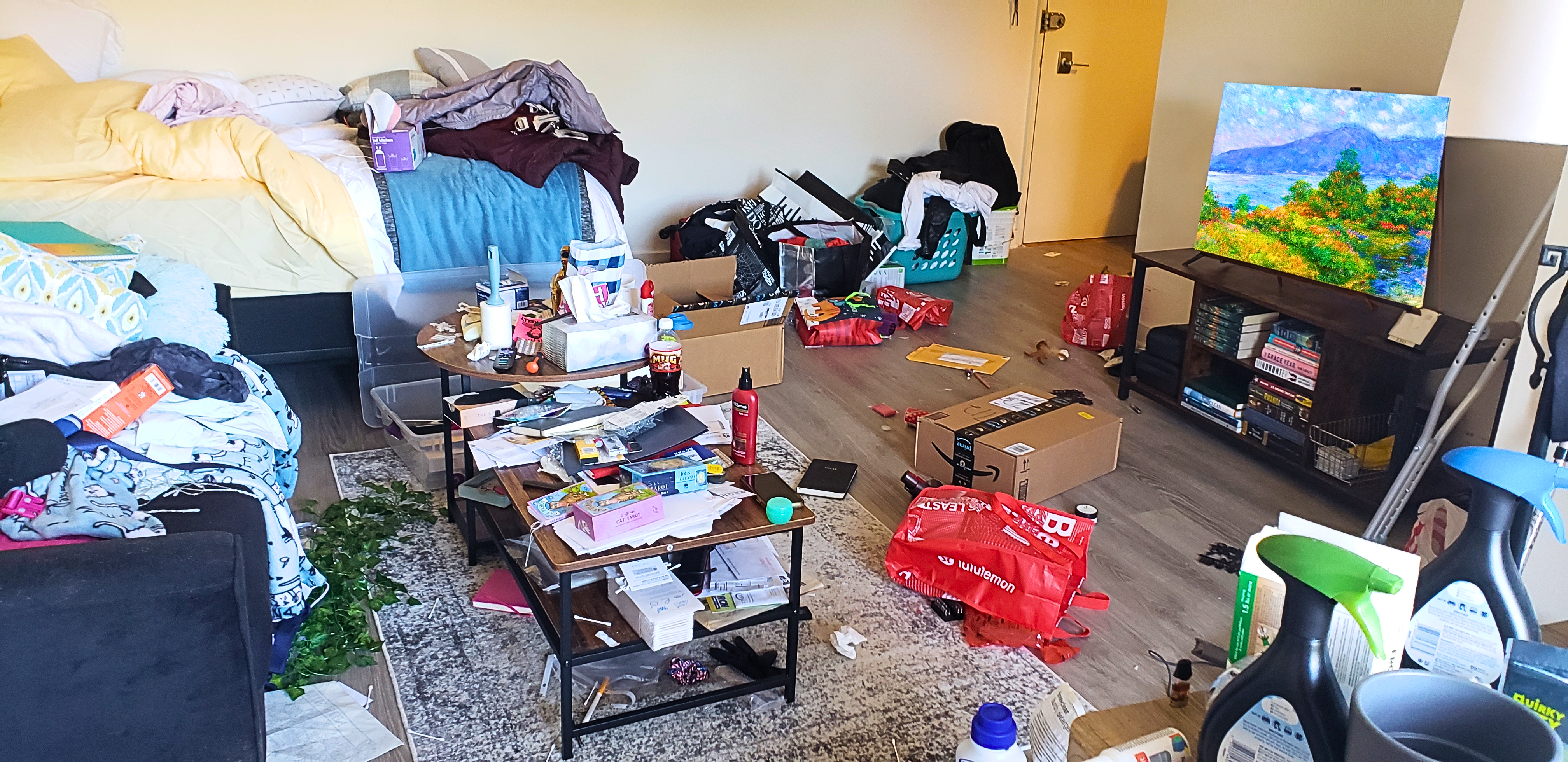 Living room before professional organizing
